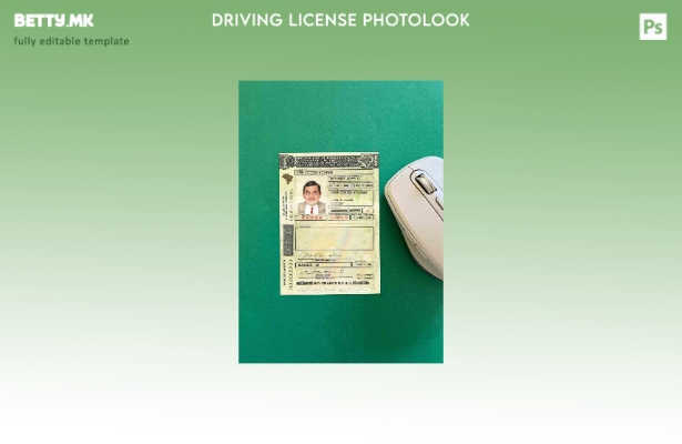 Модерен стил Бразилски DL (Рио Гранде до Сул) шаблон за фото изглед